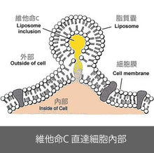 將圖片載入圖庫檢視器 Vegielight PassionC Liposomal Vitamin C 維機力 脂質性維他命C w/Lipid-Protect™ (10支$380/2支$388)